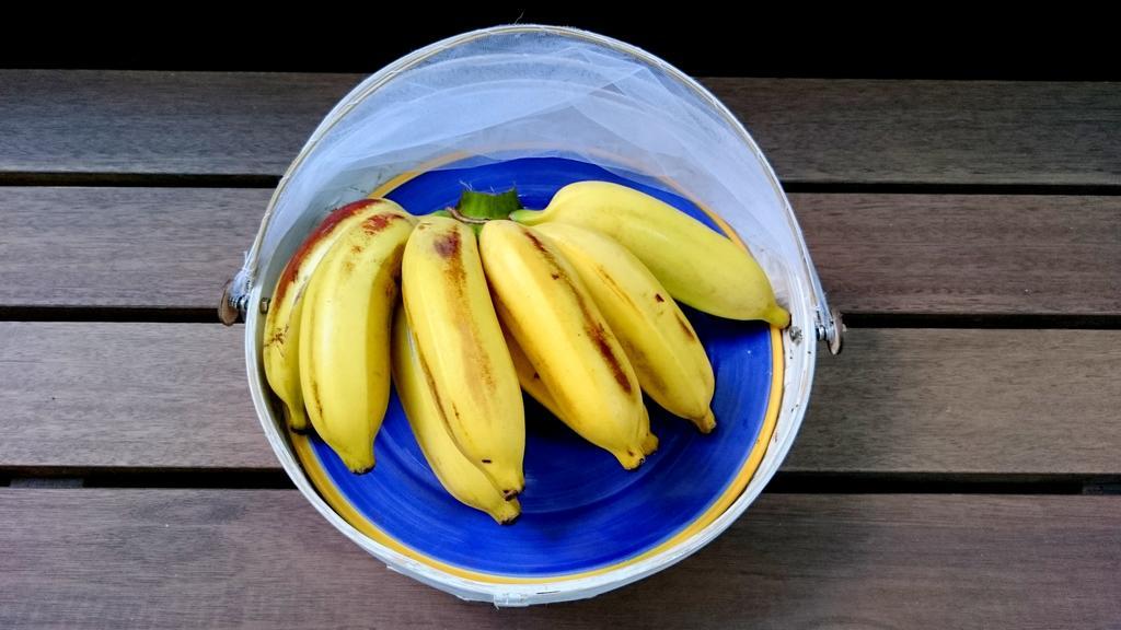 Gavea Bnb Рио де Жанейро Екстериор снимка
