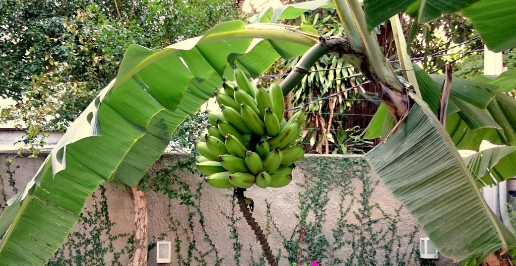 Gavea Bnb Рио де Жанейро Екстериор снимка
