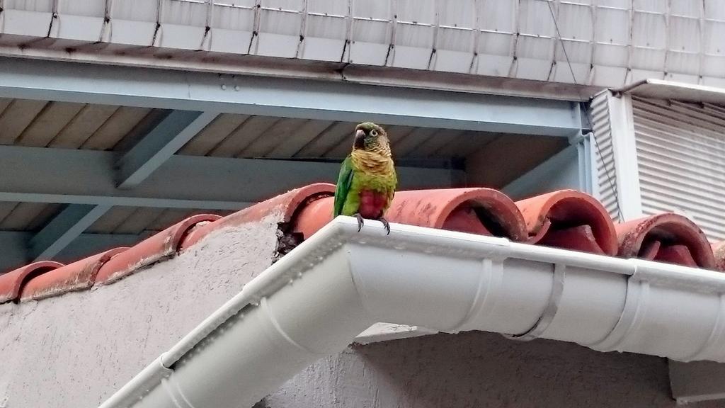 Gavea Bnb Рио де Жанейро Екстериор снимка